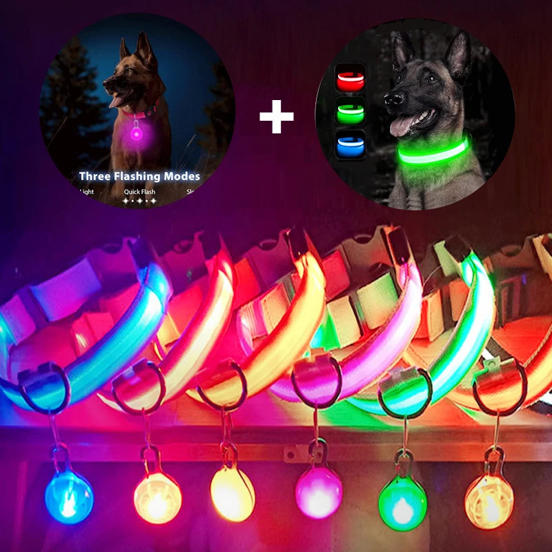 USB Rechargeable LED Dog Collar – Glowing Light-Up Safety Collar with Pendant for Small Dogs & Cats