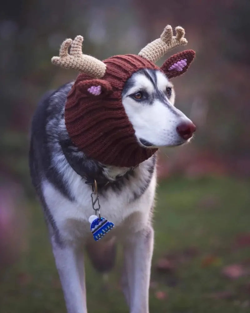 Christmas Elk Dog Hat – Knitted Warm Windproof Pet Headgear