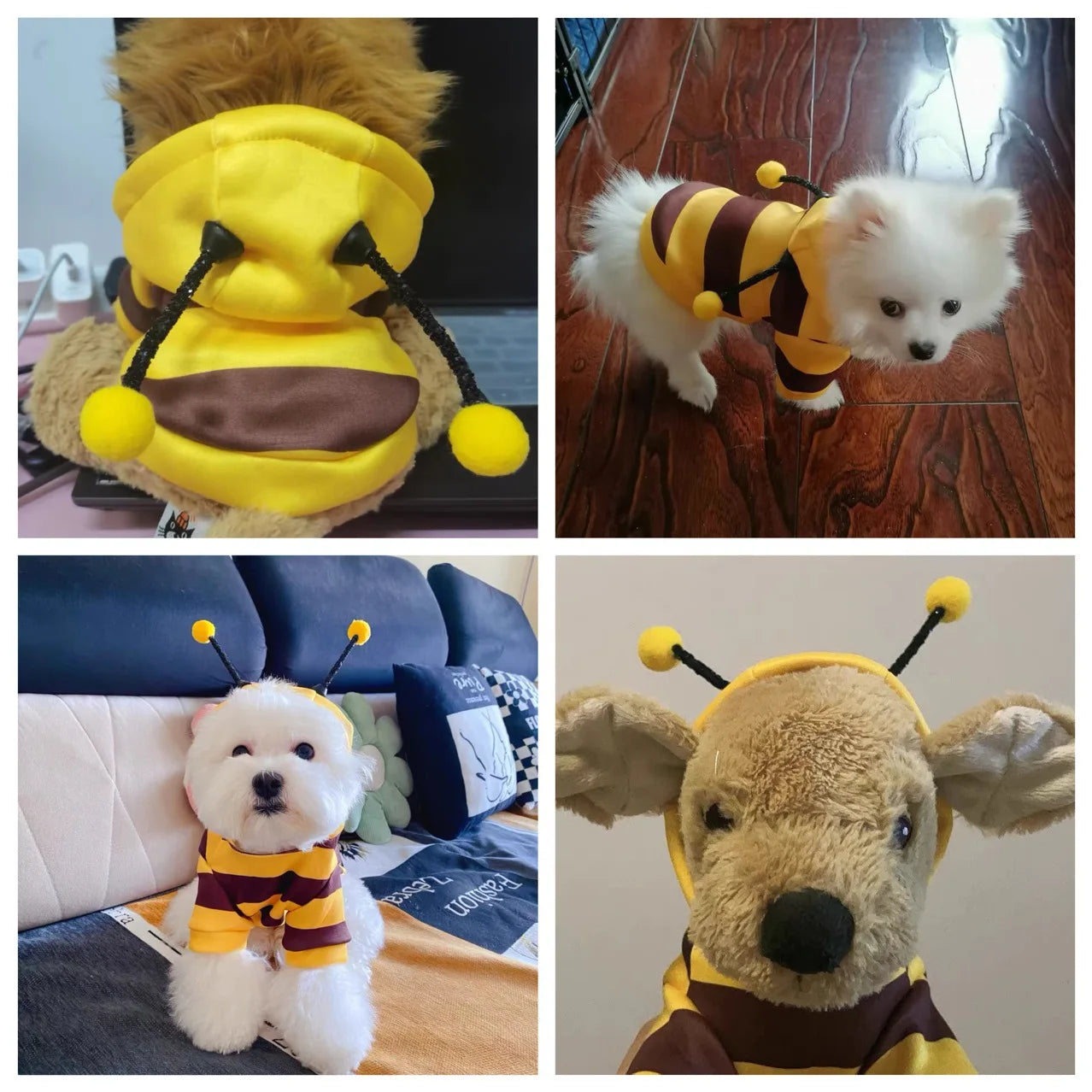 Bee Pet Hoodie – Autumn/Winter Costume for Dogs & Cats
