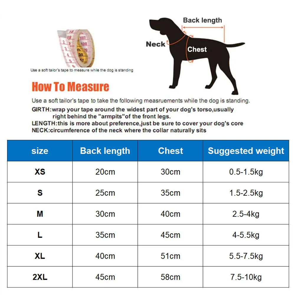 Bear Dog Raincoat – Full Body Waterproof Puppy Jacket with Hood