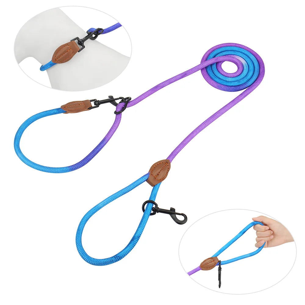 Double Head Crossbody Dog Leash – Training & Walking Rope Lead for Dogs & Cats