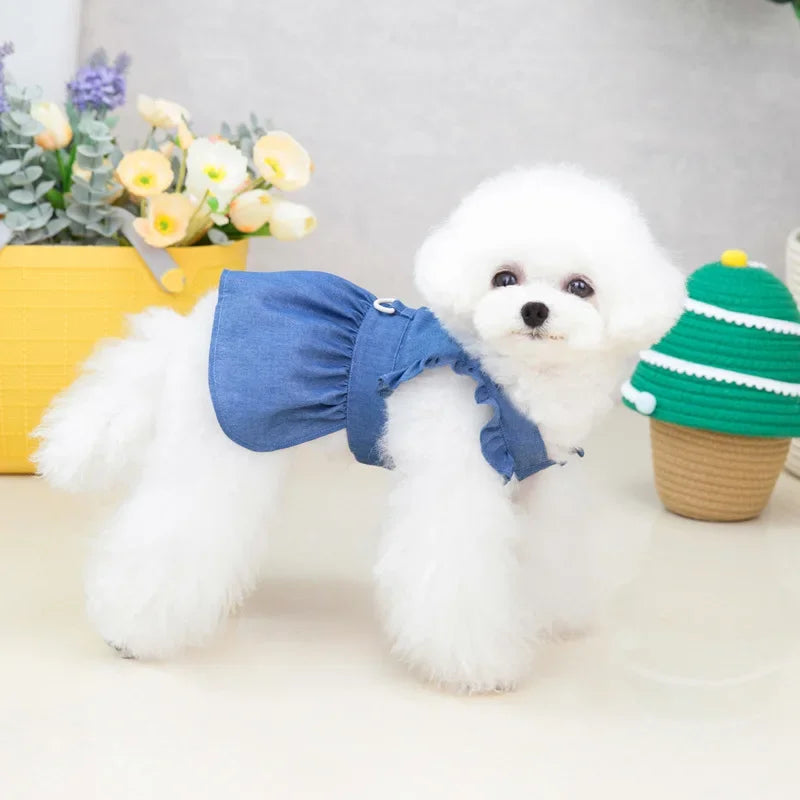 Rainbow Dog Dress – Summer Pet Outfit with Rookie Letter Print