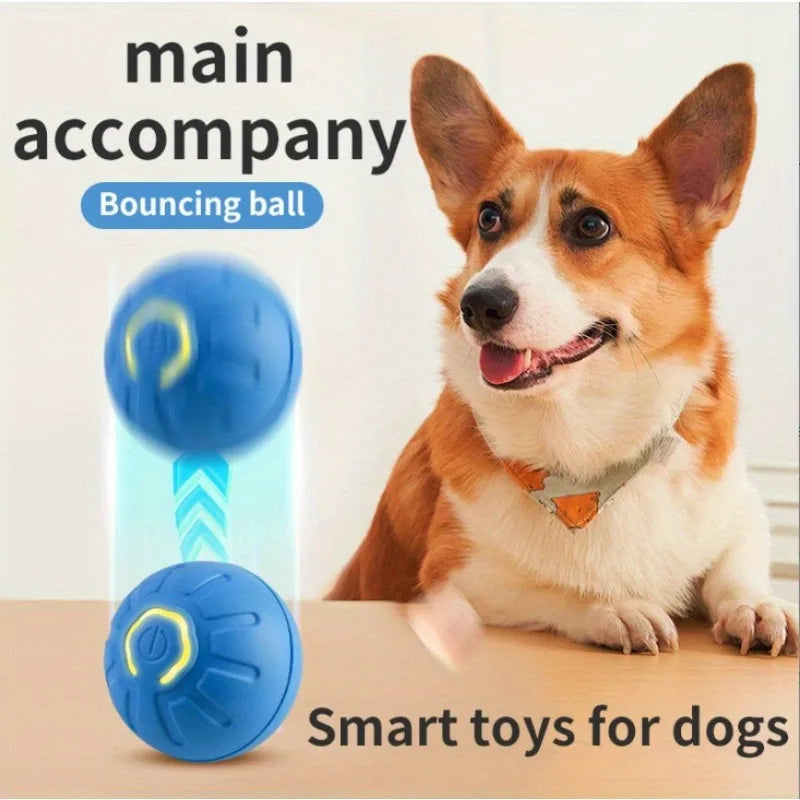Gravity Smart Jumping Ball – USB Rechargeable Pet Toy for Cats & Dog