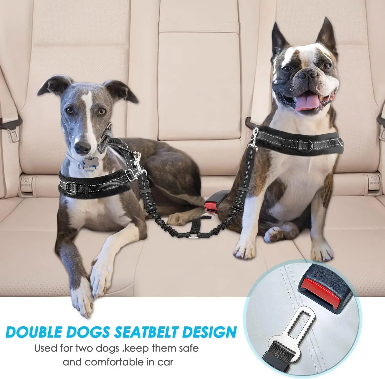 Double Dog Car Seat Belt – Adjustable No-Tangle Safety Leash with Bungee Buffer & Reflective Strips for Two Pets