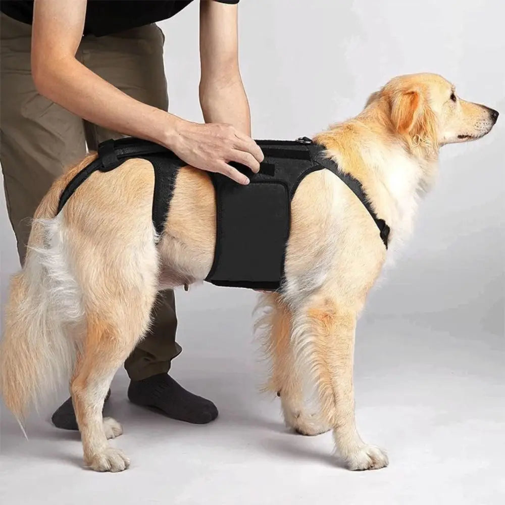 Black Dog Back Support Vest – Adjustable Orthopedic Brace for Injury Recovery