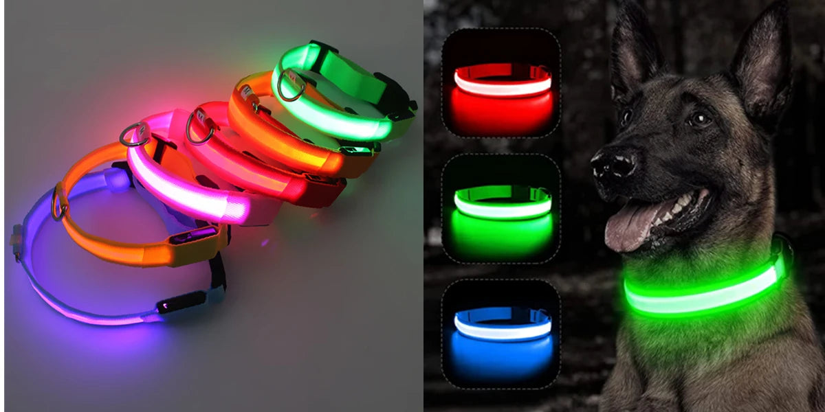 USB Rechargeable LED Dog Collar – Glowing Light-Up Safety Collar with Pendant for Small Dogs & Cats