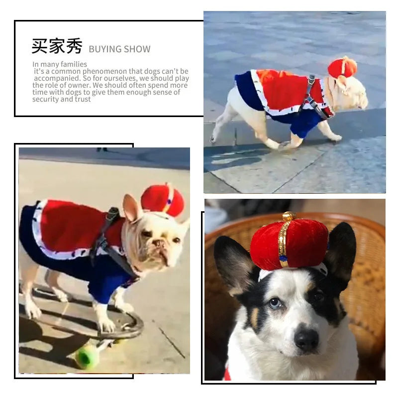 Dog King Costume – Cloak & Hat Set for Medium & Large Dogs