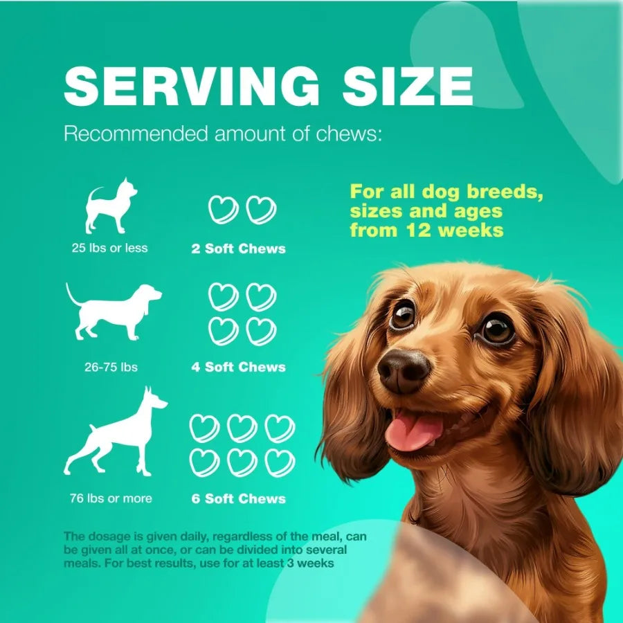 Probiotics for Dogs – Digestive Enzymes & Gut Health Support | Boosts Immunity, Reduces Itchy Skin, Yeast & Allergies | Anti-Coprophagia Formula