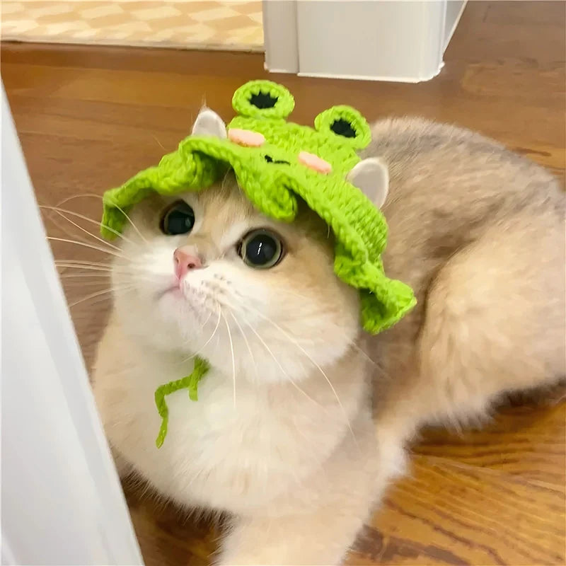 Handmade Knitted Pet Hat – Cute Party Cap for Cats, Kittens & Small Dogs