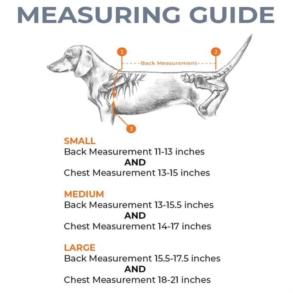 Black Dog Back Support Vest – Adjustable Orthopedic Brace for Injury Recovery