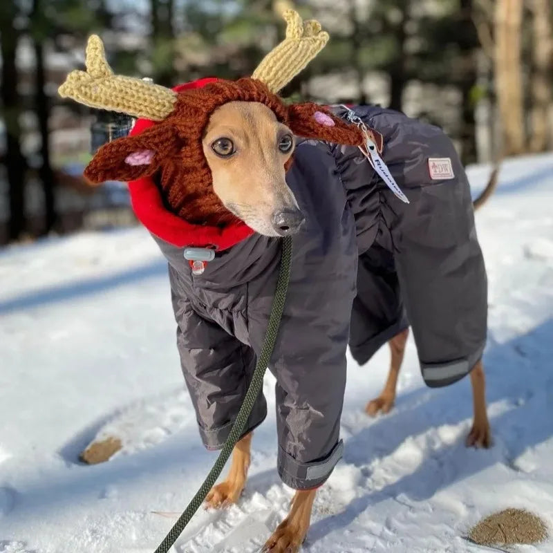 Christmas Elk Dog Hat – Knitted Warm Windproof Pet Headgear