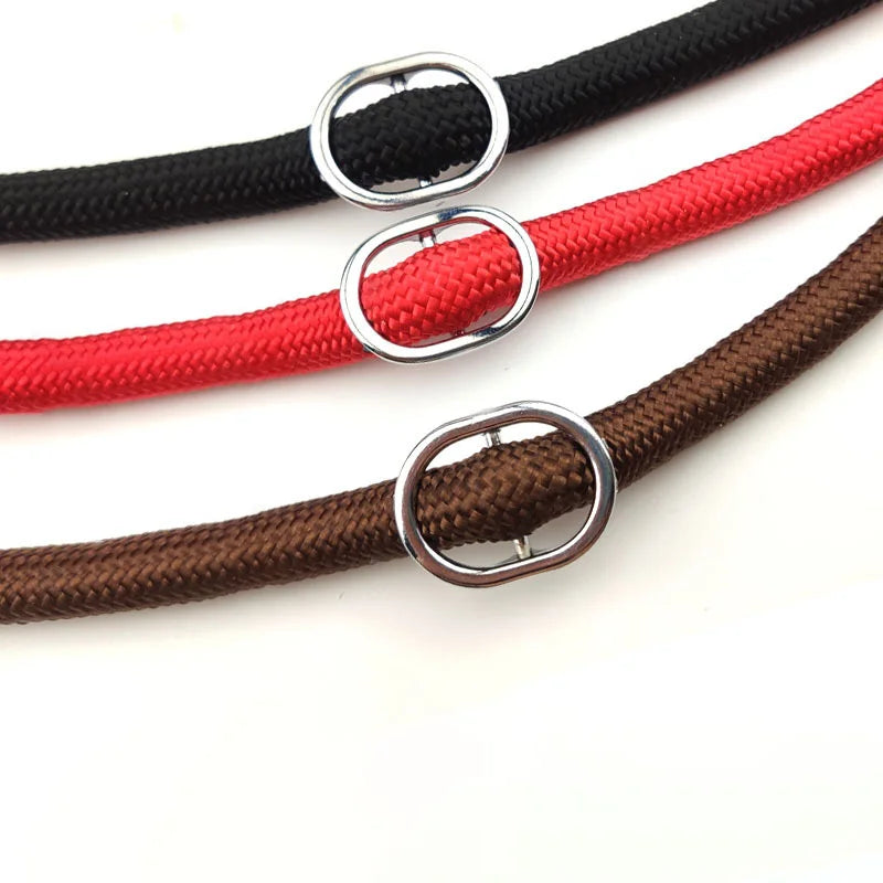 Braided Rope Dog Slip Leash – Adjustable Training Lead for Small & Medium Dogs