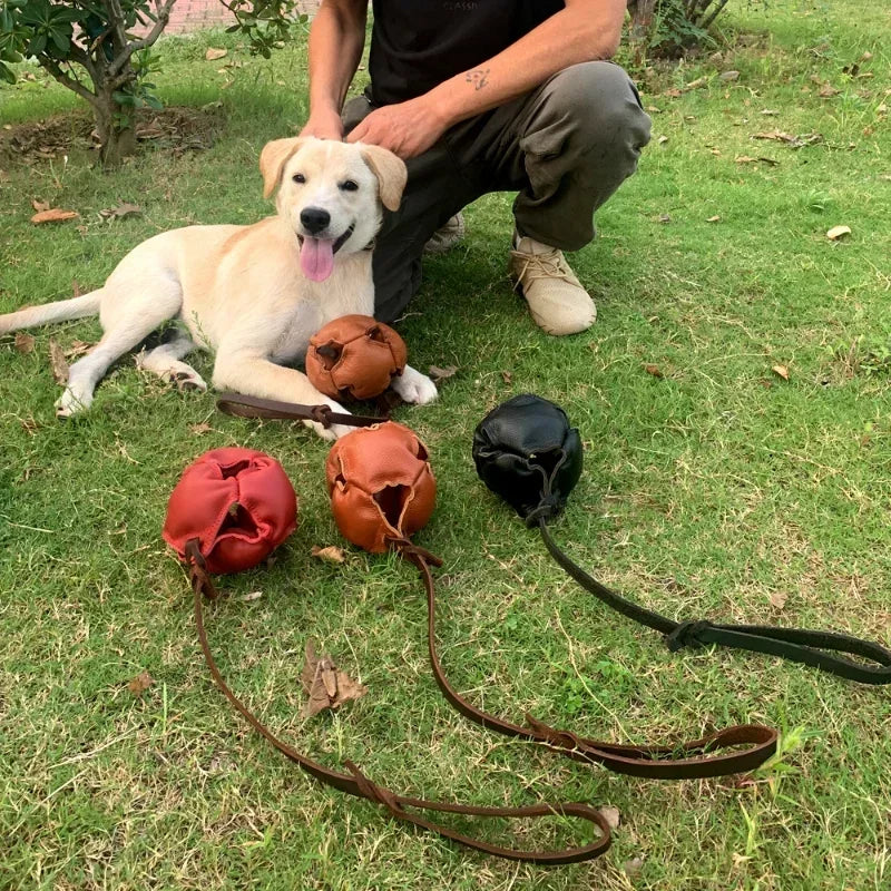 Leather Dog Training Ball – Tug & Bite Toy with Handle