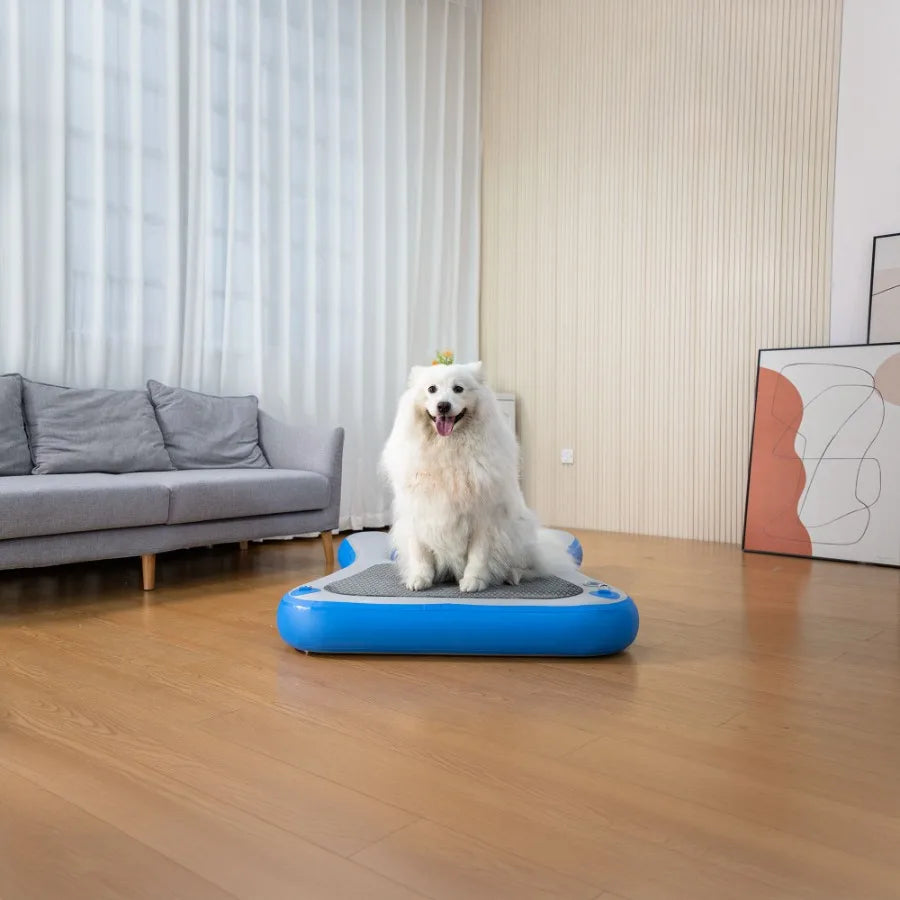 Inflatable Floating Dog Water Ramp – Portable Pool & Boat Ladder for Pets