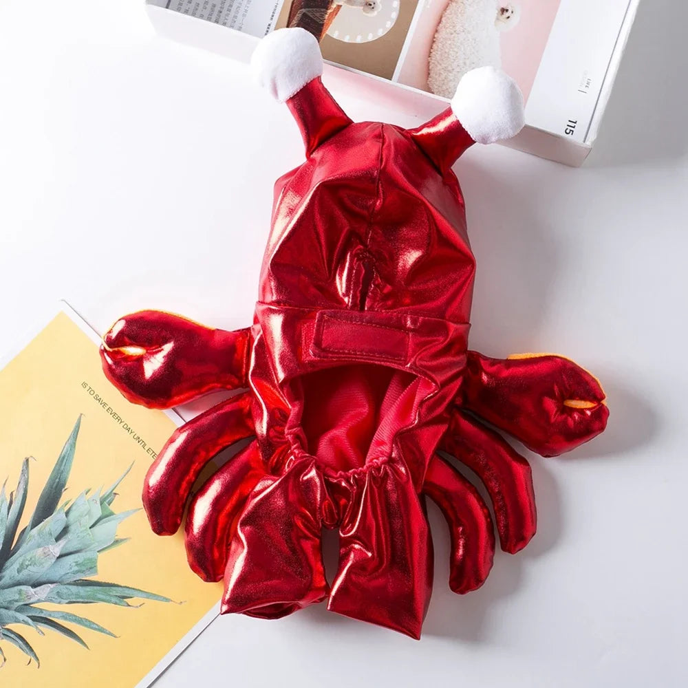 Halloween Crab Costume – Funny Pet Outfit for Dogs & Cats
