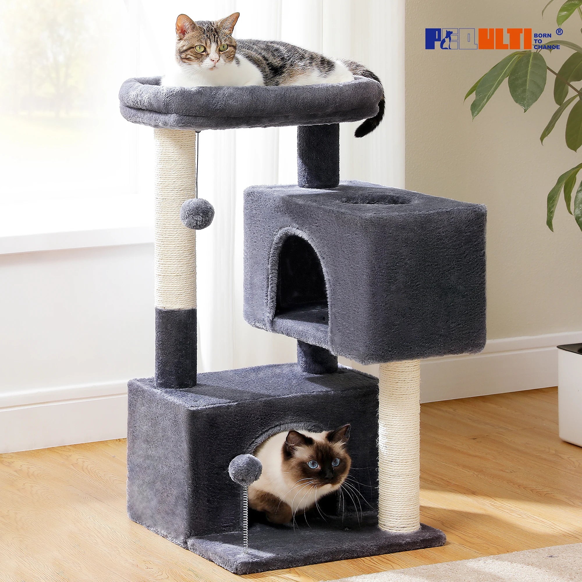 82cm Cat Tree Tower – Double Condos with Detachable Perch & Spring Ball