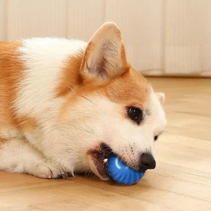 Smart Interactive Dog Toy Ball – USB Rechargeable, Automatic Jumping & Rotating