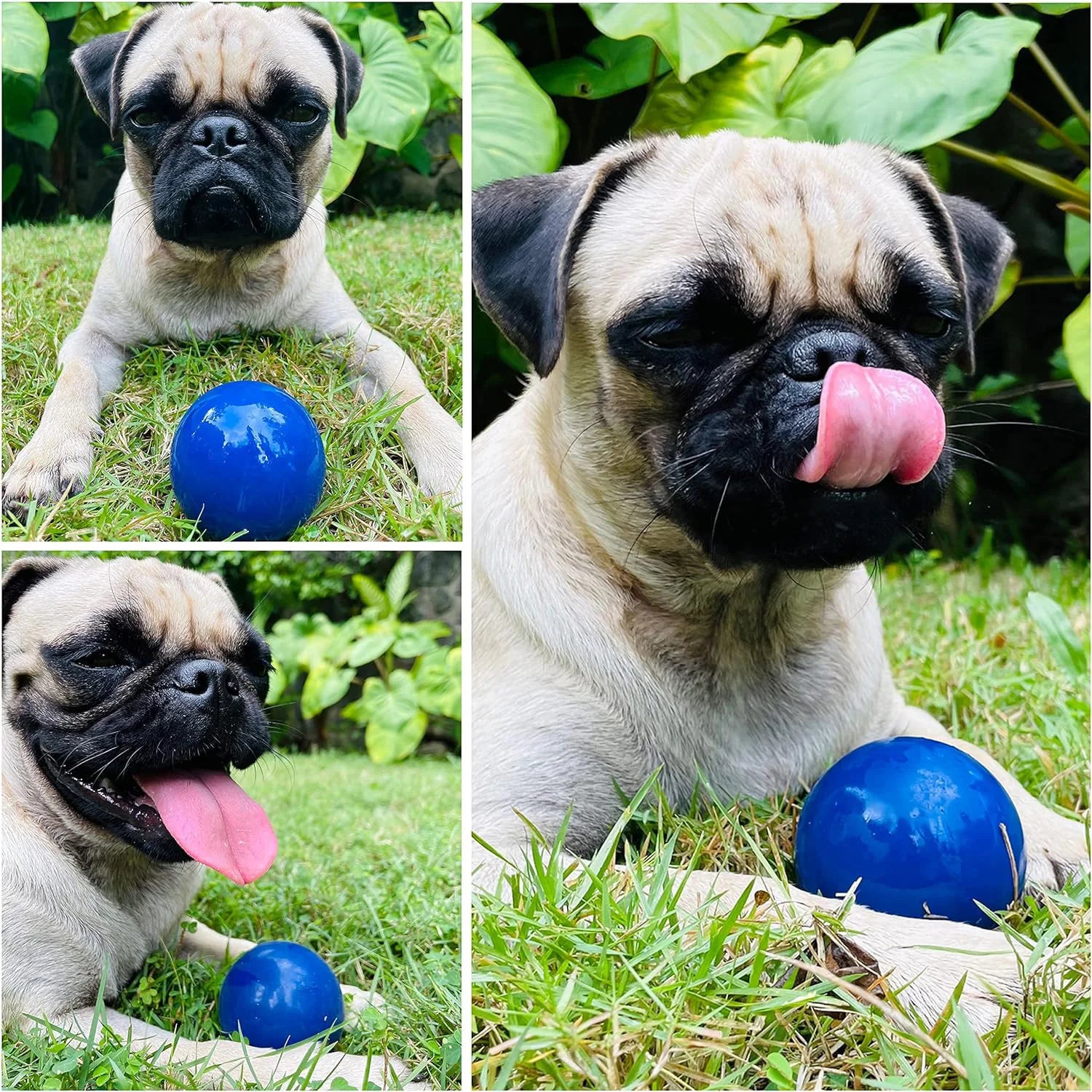 SuperChewy Tough Dog Ball Toy – Durable Natural Rubber Chew Toy for Aggressive Chewers | Large Breed Tested, Great for Fetch