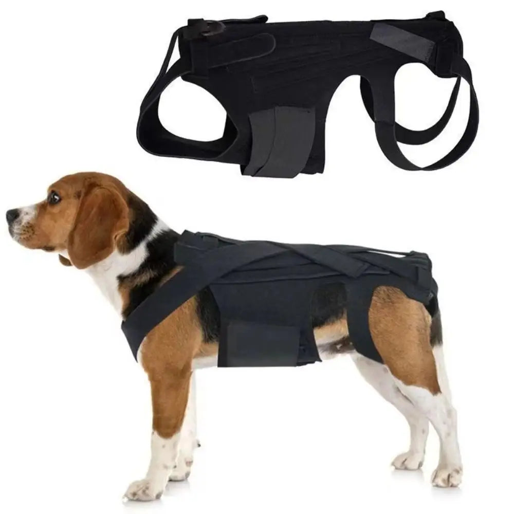 Black Dog Back Support Vest – Adjustable Orthopedic Brace for Injury Recovery
