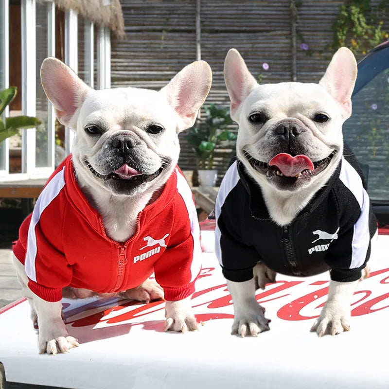 Baseball Dog Jacket – Winter Coat for Small & Medium Dogs