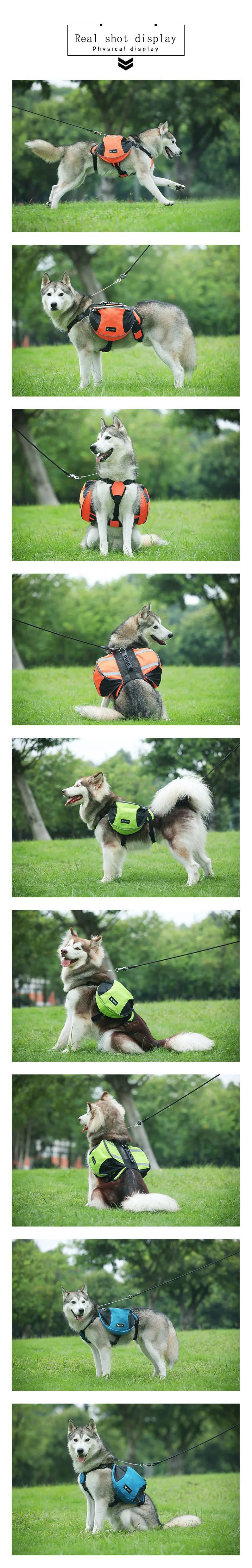 Portable Dog Training Backpack – Reflective Travel Snack Storage Bag