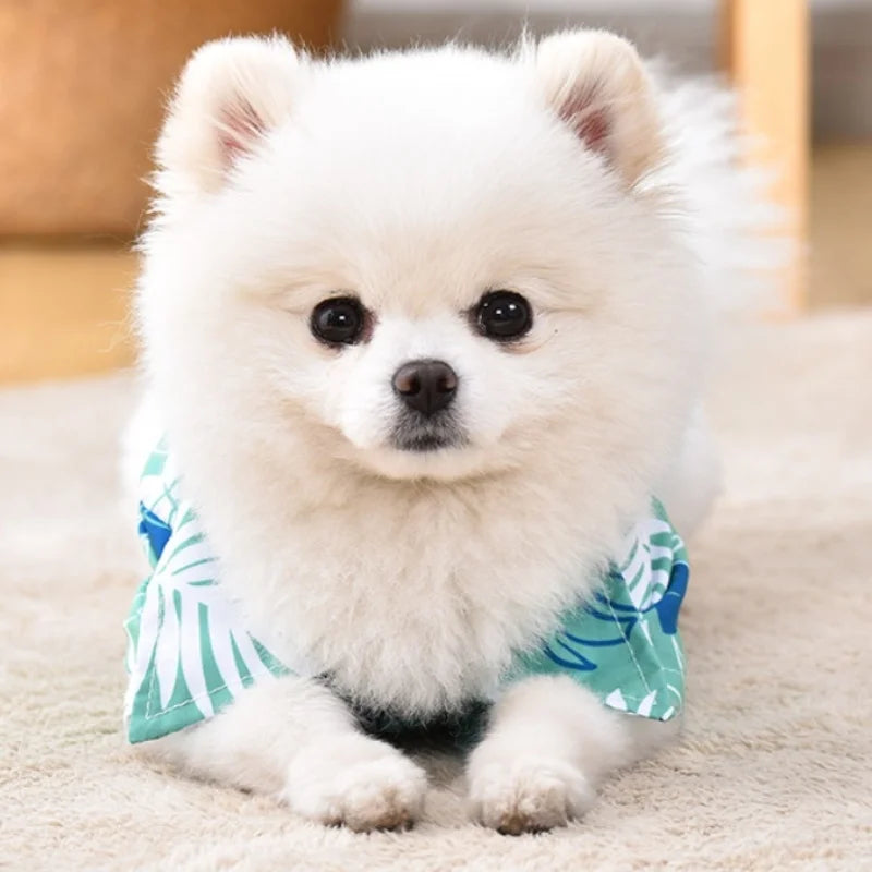 Summer Hawaiian Style Dog Shirt – Tropical Beach Vest for Small Pets