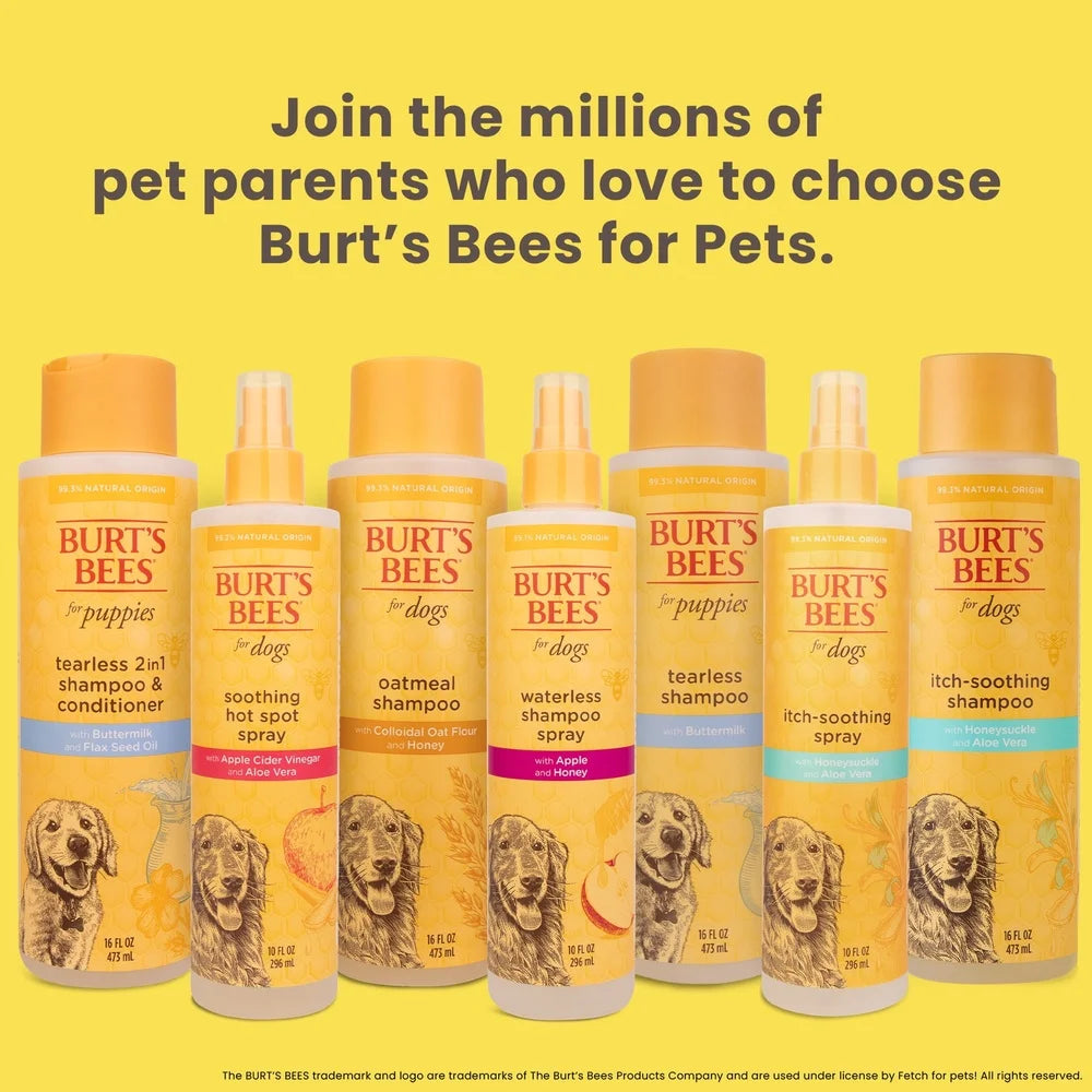 Natural Tearless 2-in-1 Dog Shampoo & Conditioner – Gentle Buttermilk & Linseed Oil Formula for Puppies | pH Balanced, Nourishing Pet Care
