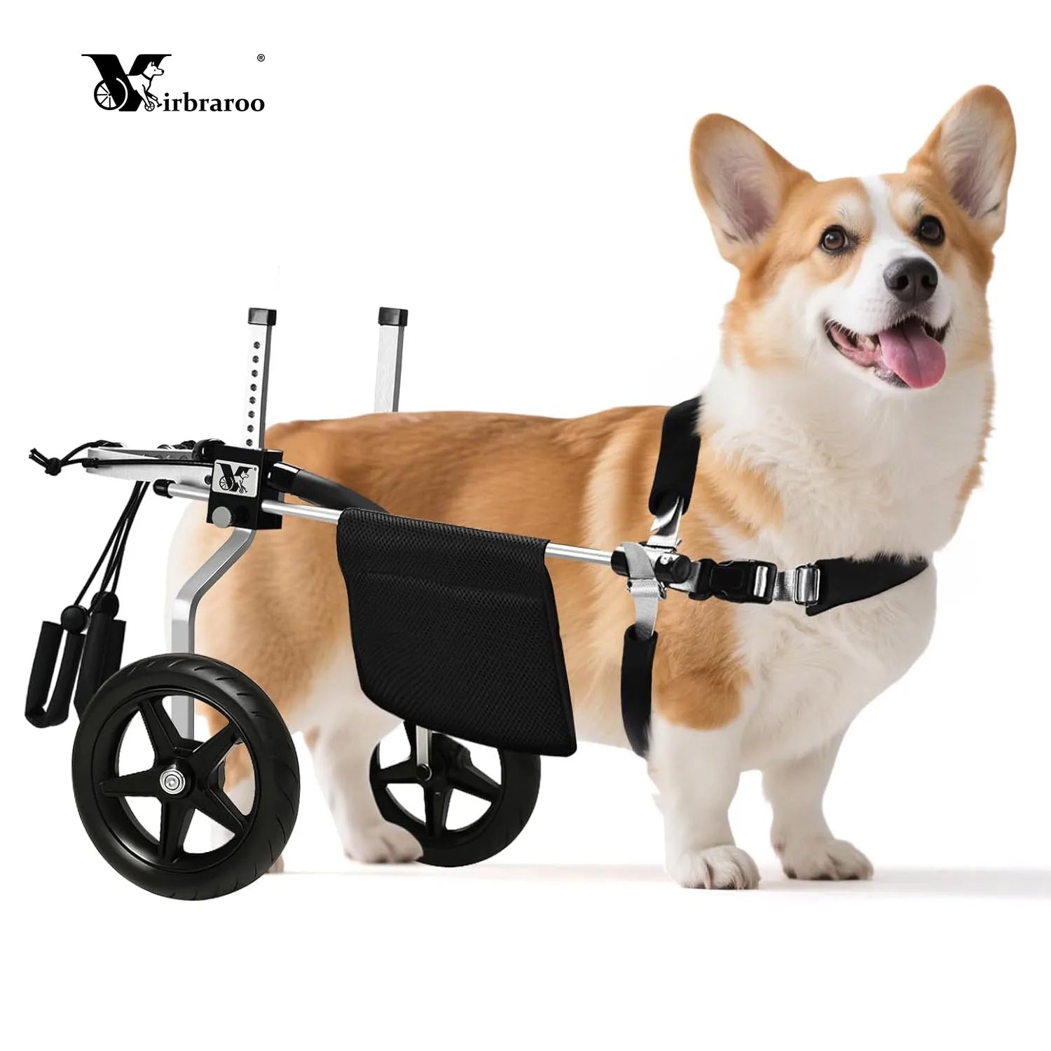 Dog Wheelchair for Back Legs – Lightweight Adjustable Mobility Aid for Medium Dogs (Corgi, Dachshund & Similar Breeds)