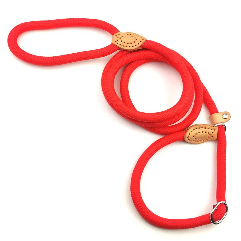 Braided Rope Dog Slip Leash – Adjustable Training Lead for Small & Medium Dogs