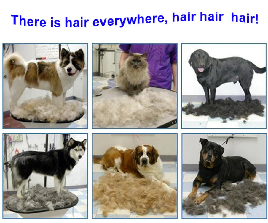 Portable Pet Vacuum Cleaner – Dual-Purpose Electric Hair Remover & Massage Grooming Tool for Cats & Dogs