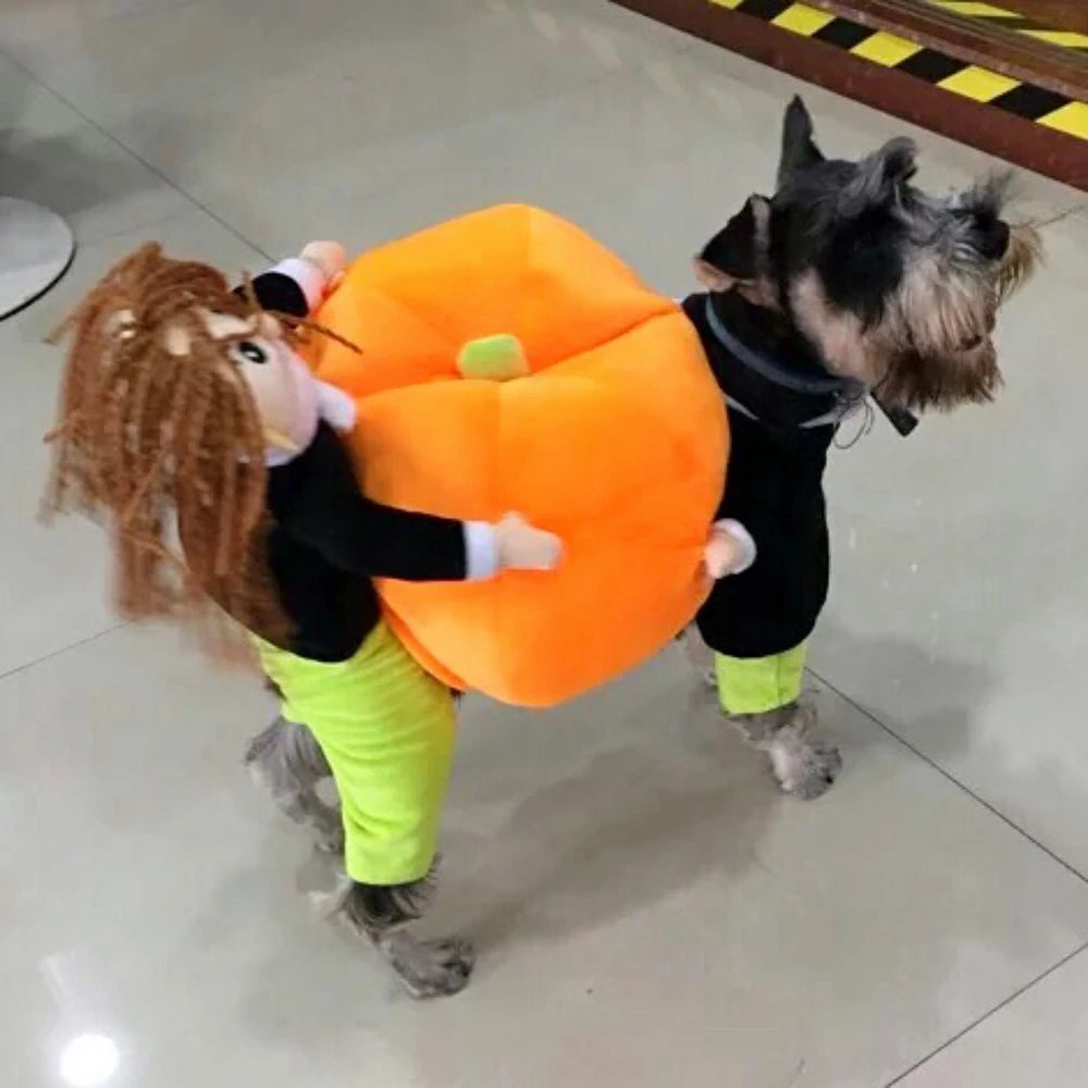 Pumpkin Cosplay Costume – Funny Halloween & Christmas Outfit for Dogs & Cats