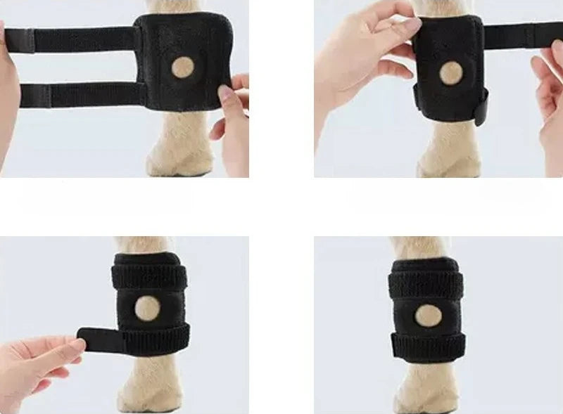 Dog Leg Support Brace – Arthritis Recovery & Injury Protector for Hock Joint