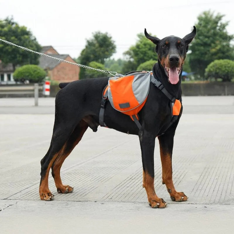 Portable Dog Training Backpack – Reflective Travel Snack Storage Bag