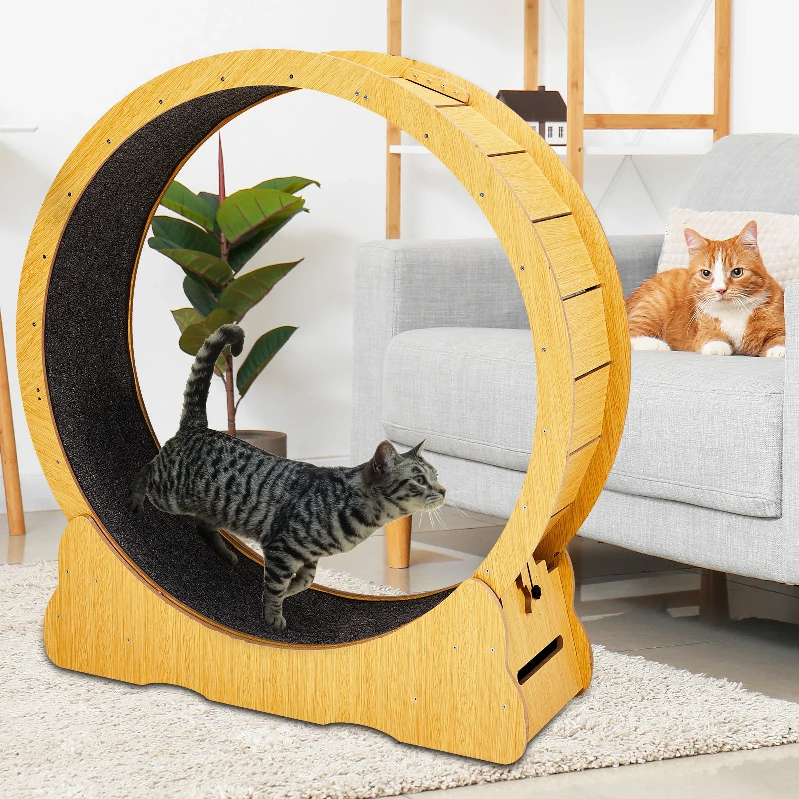 Cat Exercise Wheel – Indoor Running Wheel for Cats & Small Pets