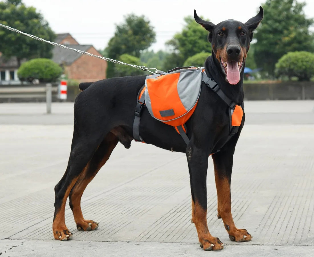 Portable Dog Training Backpack – Reflective Travel Snack Storage Bag