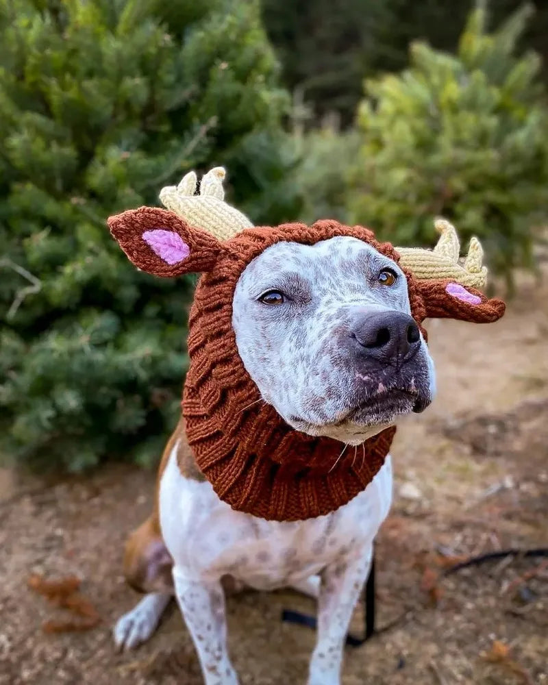 Christmas Elk Dog Hat – Knitted Warm Windproof Pet Headgear