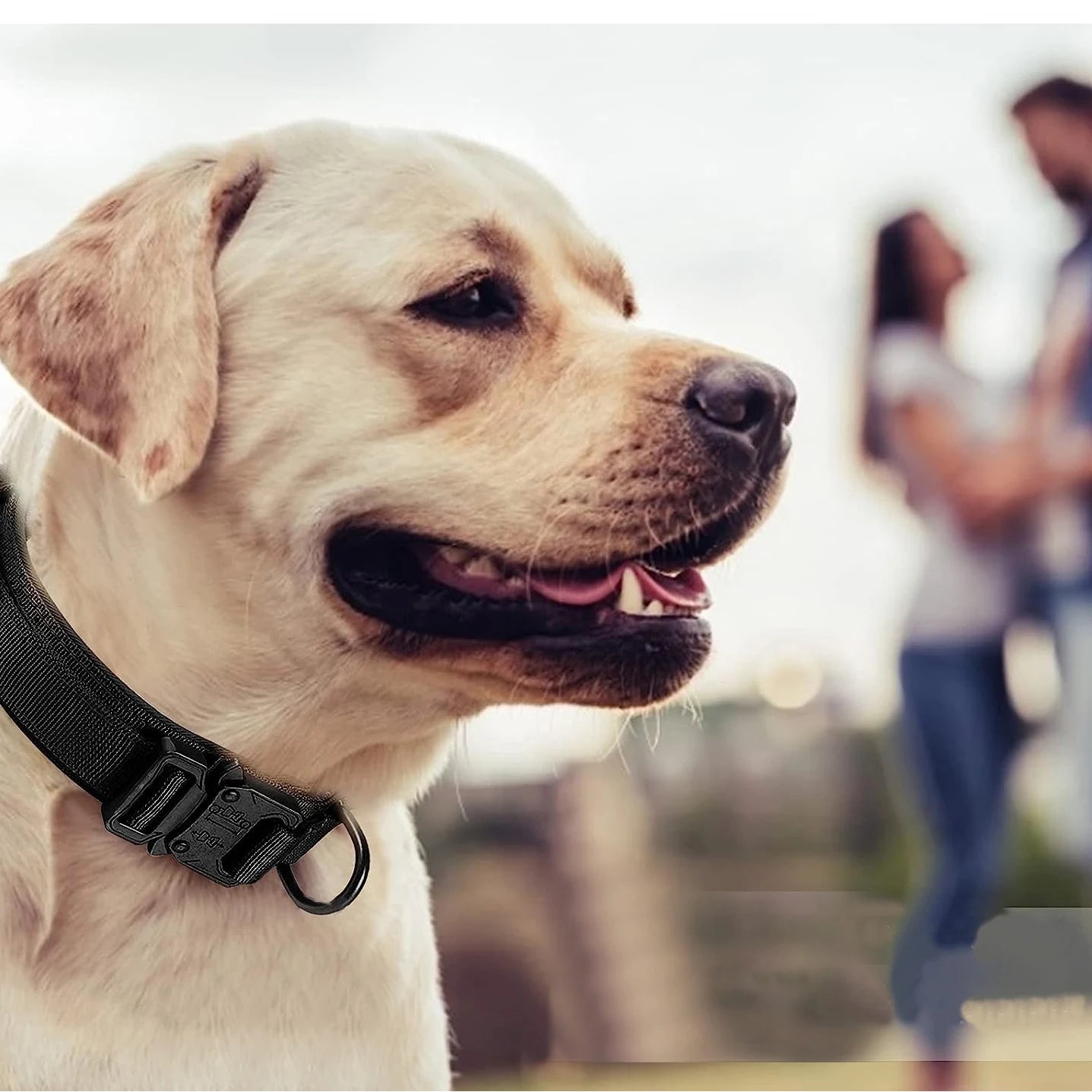Tactical Dog Collar & Leash Set – Heavy-Duty Adjustable Military-Grade for All Dog Sizes