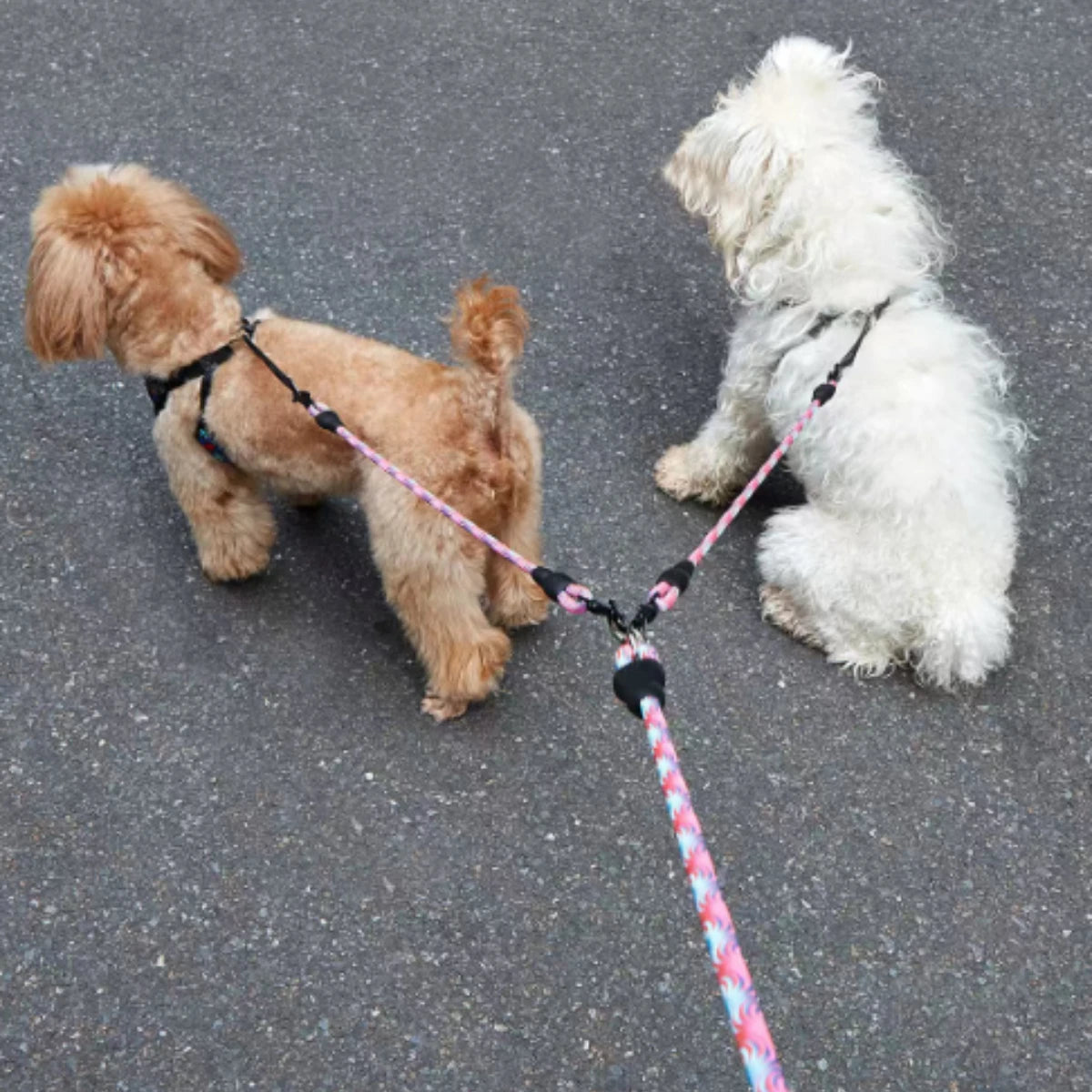 Double Dog Leash – Wave Pattern Anti-Winding Removable Rope