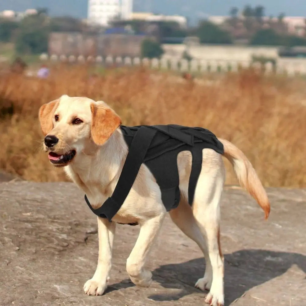 Black Dog Back Support Vest – Adjustable Orthopedic Brace for Injury Recovery
