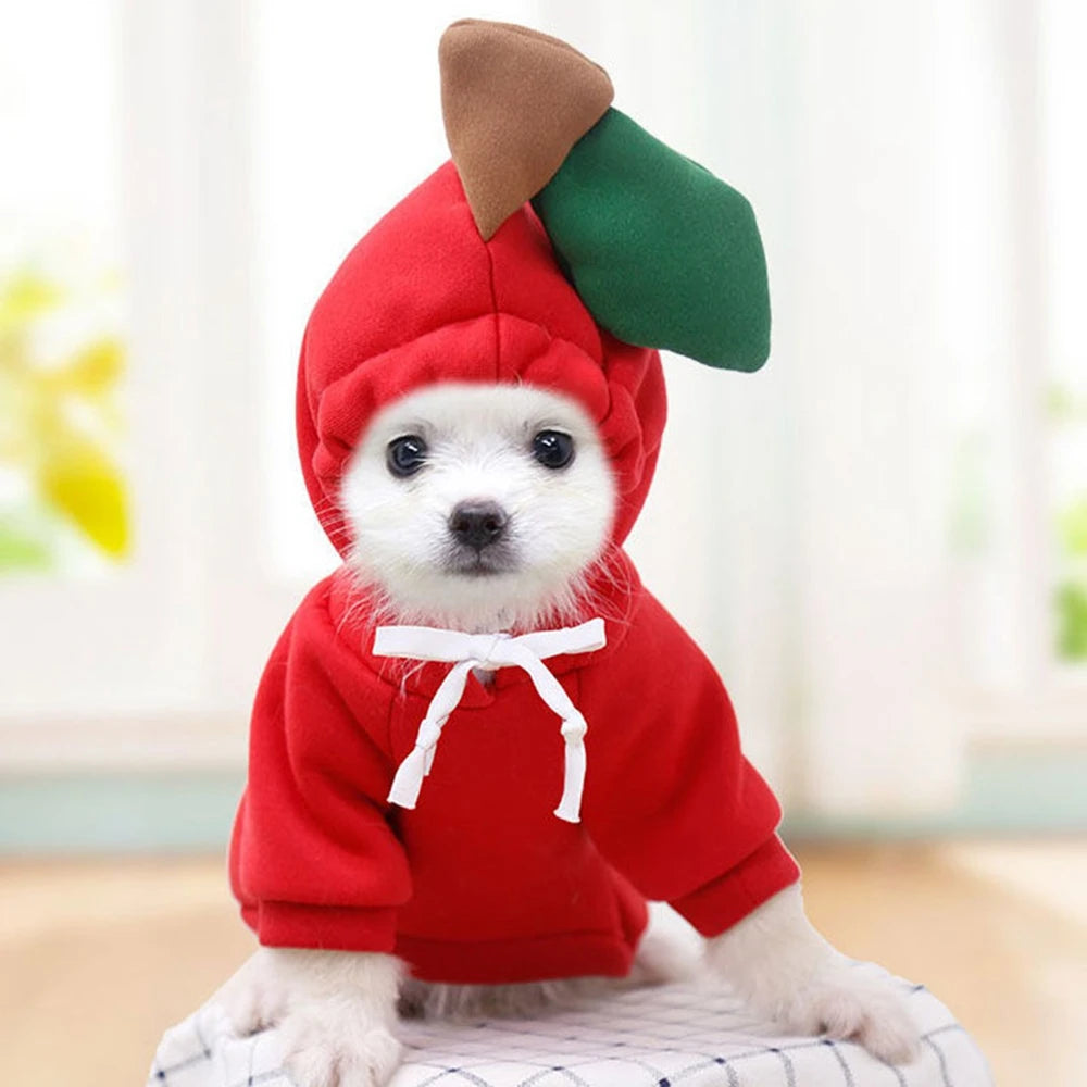 Fruit Dog Hoodie – Warm Fleece Costume for Small Dogs & Cats