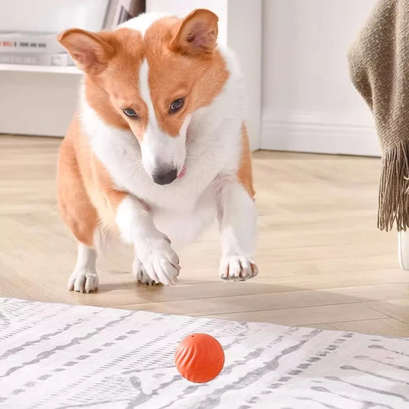 Smart Interactive Dog Toy Ball – USB Rechargeable, Automatic Jumping & Rotating