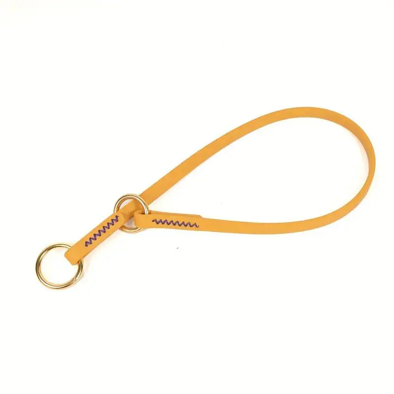 Waterproof P Chain Dog Collar – Easy-Clean Training Collar for Small & Medium Dogs