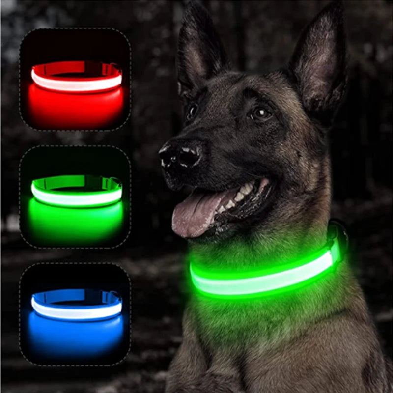 USB Rechargeable LED Dog Collar – Glowing Light-Up Safety Collar with Pendant for Small Dogs & Cats