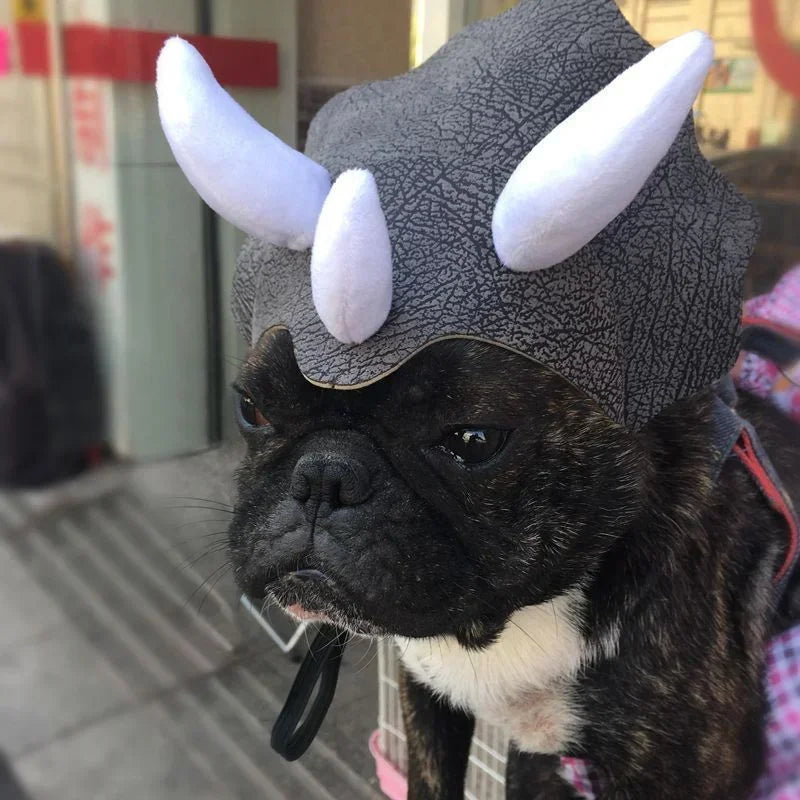 Triceratops Dinosaur Pet Hat – Costume Headgear for Cats & Dogs