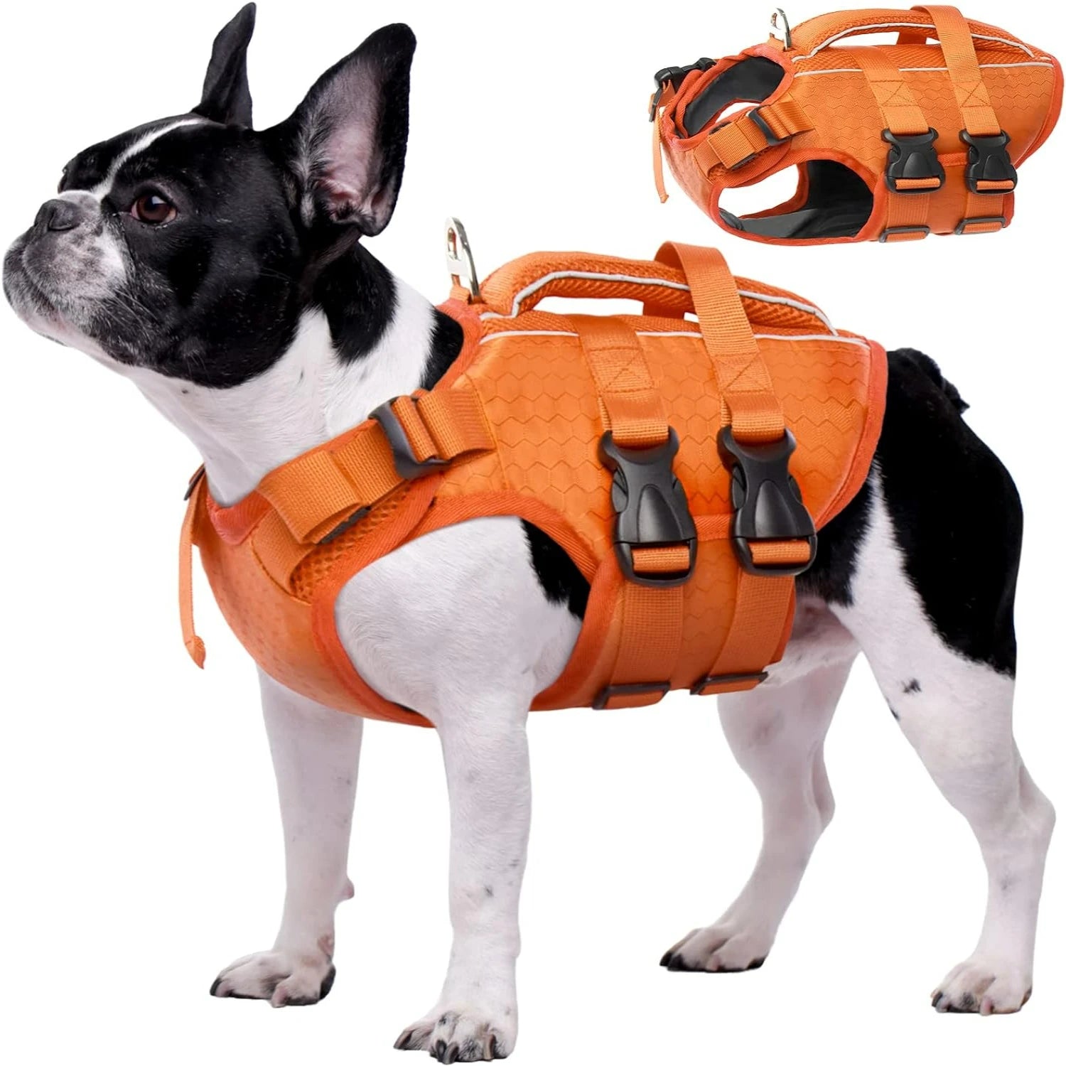 Adjustable High-Flotation Dog Life Jacket – Lightweight & Durable for All Sizes