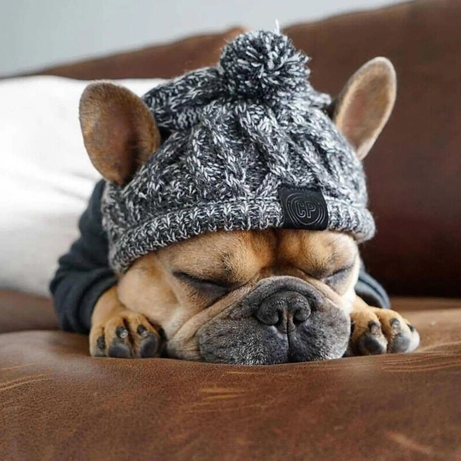 Winter Warm Knitted Dog Hat – Windproof Pet Beanie with Fluffy Pom for Small & Medium Dogs