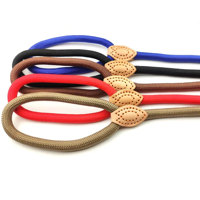 Braided Rope Dog Slip Leash – Adjustable Training Lead for Small & Medium Dogs