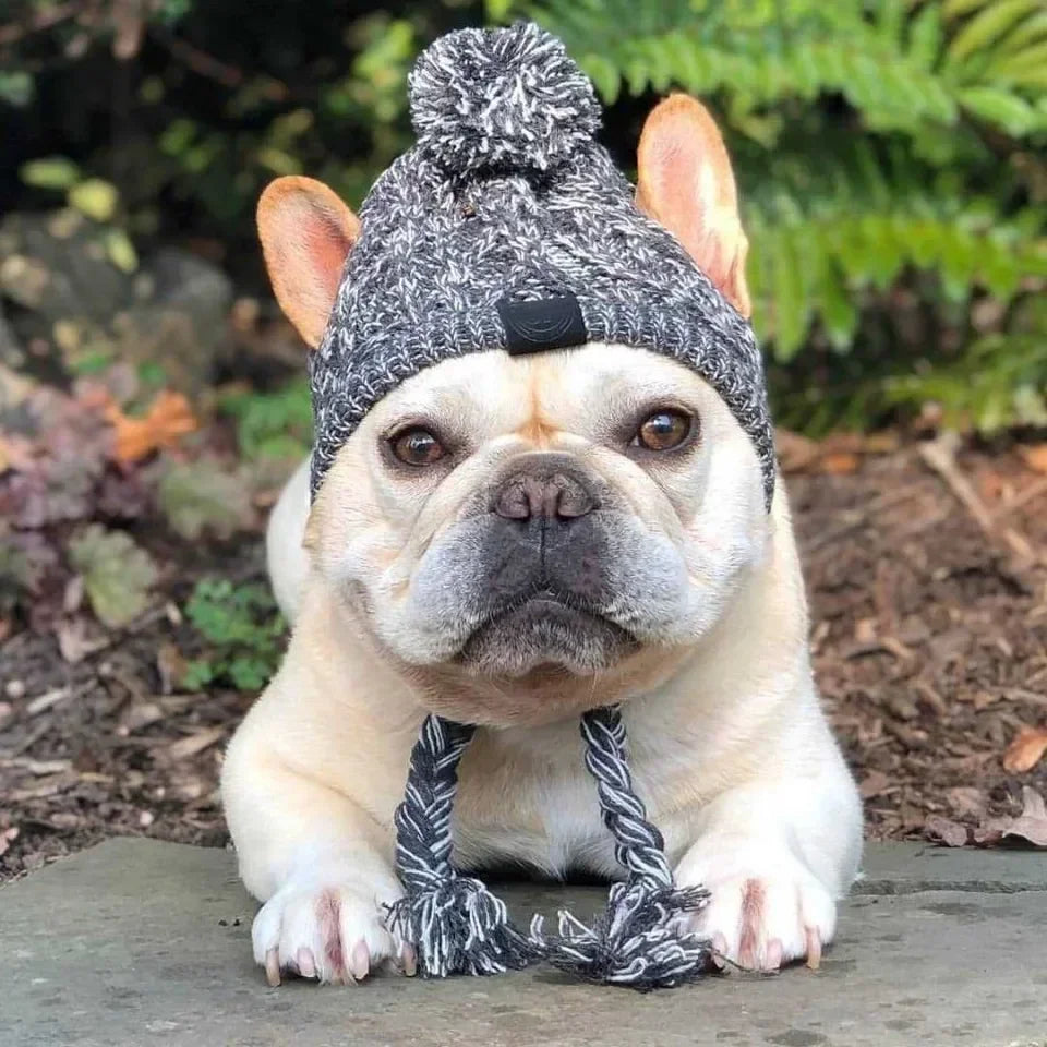 Winter Knitted Pet Hat – Warm Woolen Cap with Fur Ball for Cats & Dogs