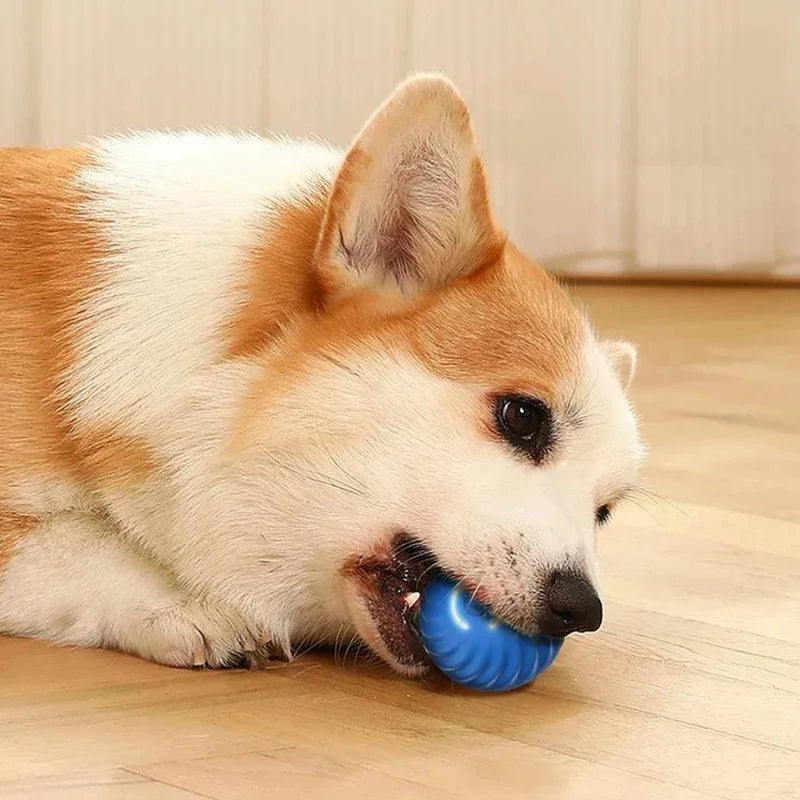 Smart Electronic Dog Toy Ball – USB Rechargeable Interactive Moving Ball for Pets