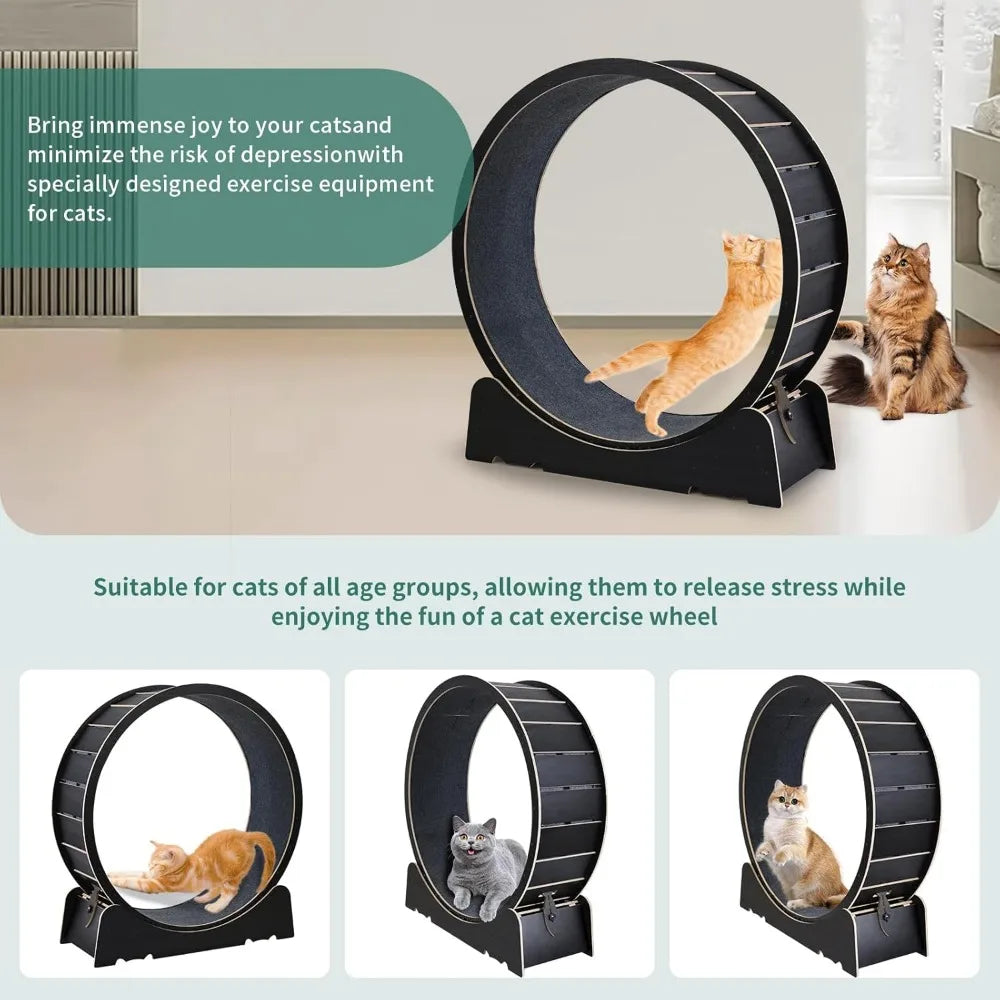 Large Cat Exercise Wheel – 40" Indoor Running Treadmill for Cats